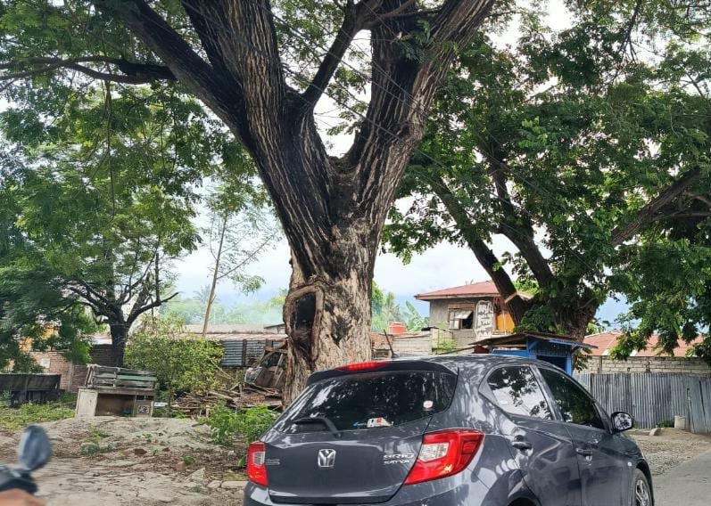 gofayhoki's tweet photo. Jual tanah bersertifikat lengkap
Luas tanah 20 x 20
Alamat Jl. Undata No. 32 Kota Palu, Sulawesi Tengah
dekat pusat kota 

hub no. wa : +62 853-4502-3338 https://t.co/ZfbZPzzJrW