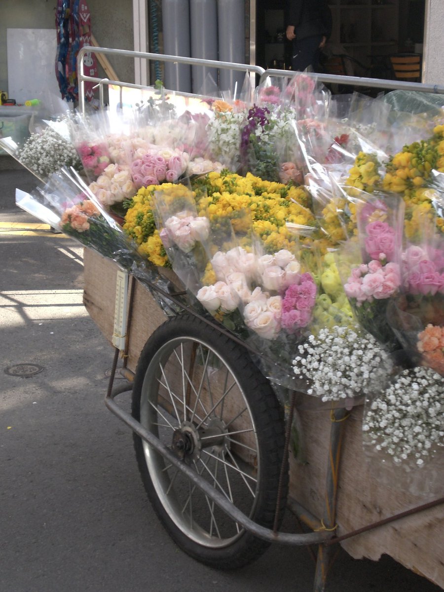 yuuunluv's tweet image. 카시오 엑슬림 디카를 들여왔어요 ! !
자세한건 블로그에서 💻 .. 💬