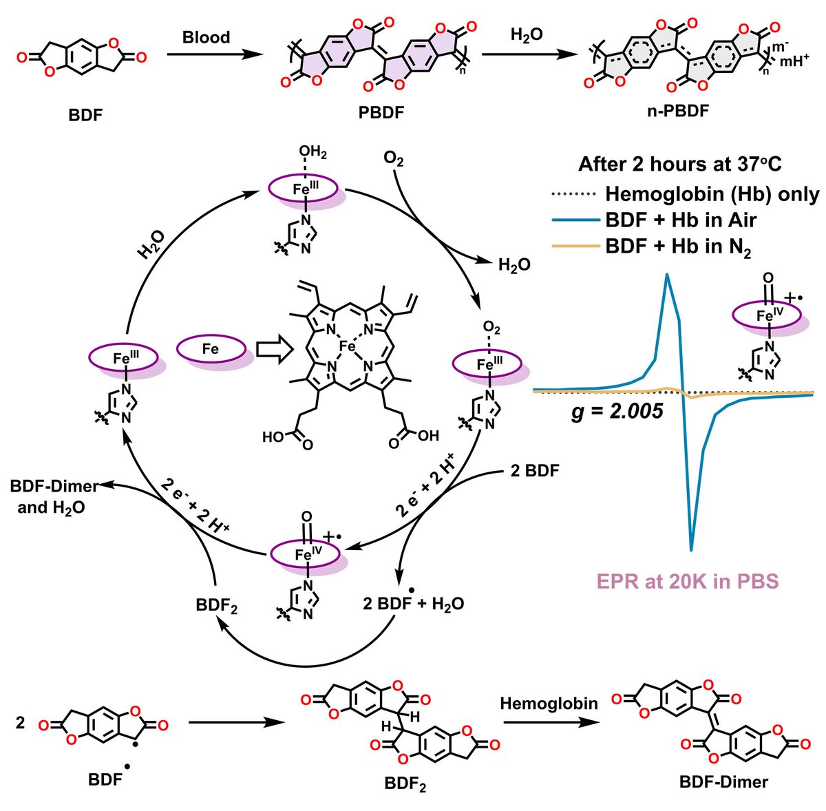 Science Magazine tweet media