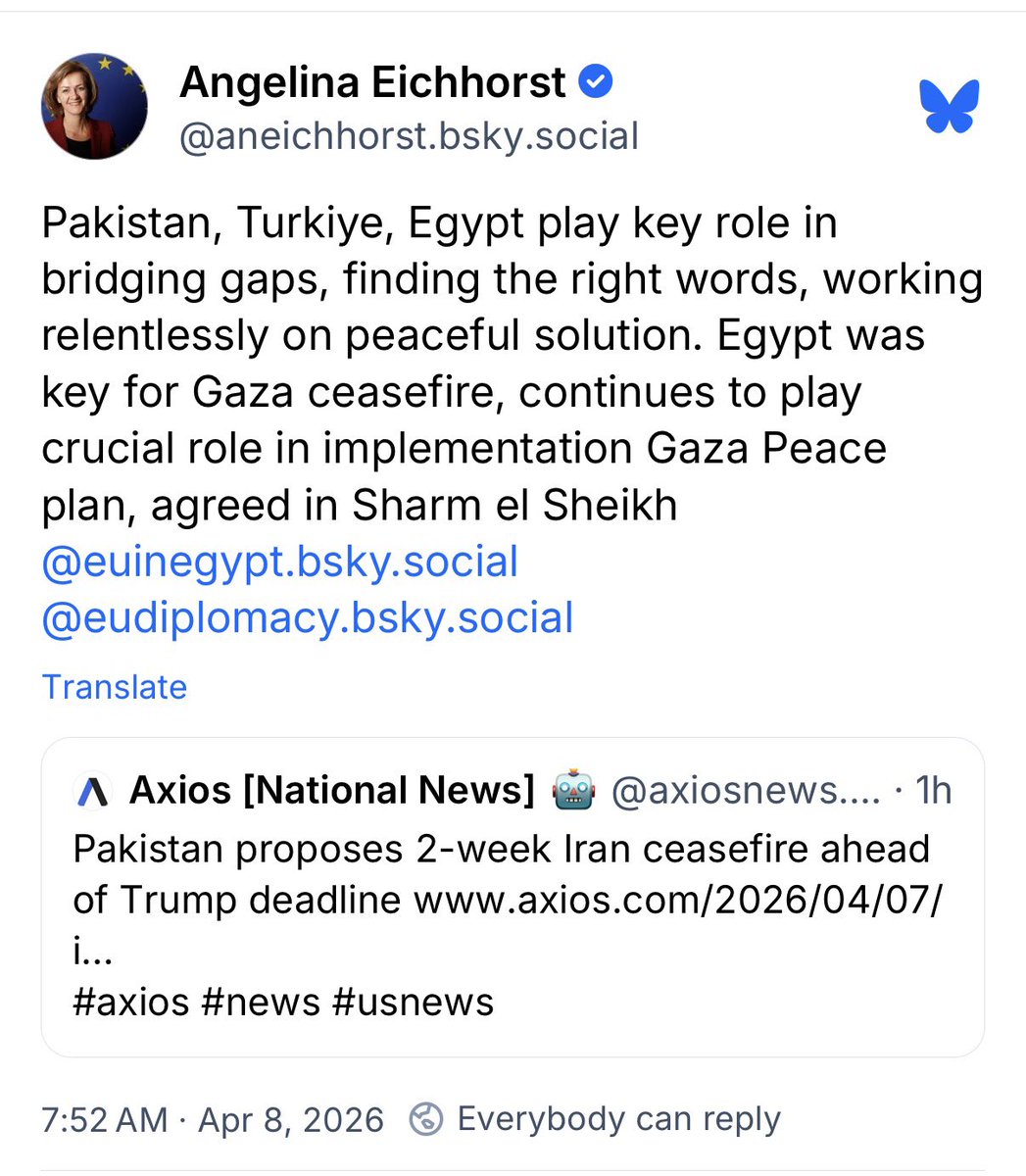 EU in Egypt tweet media