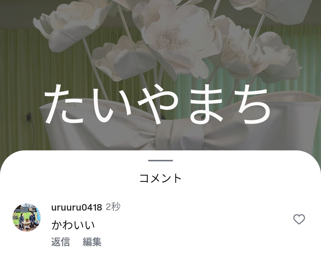 たいやまち🍀🚗 tweet media