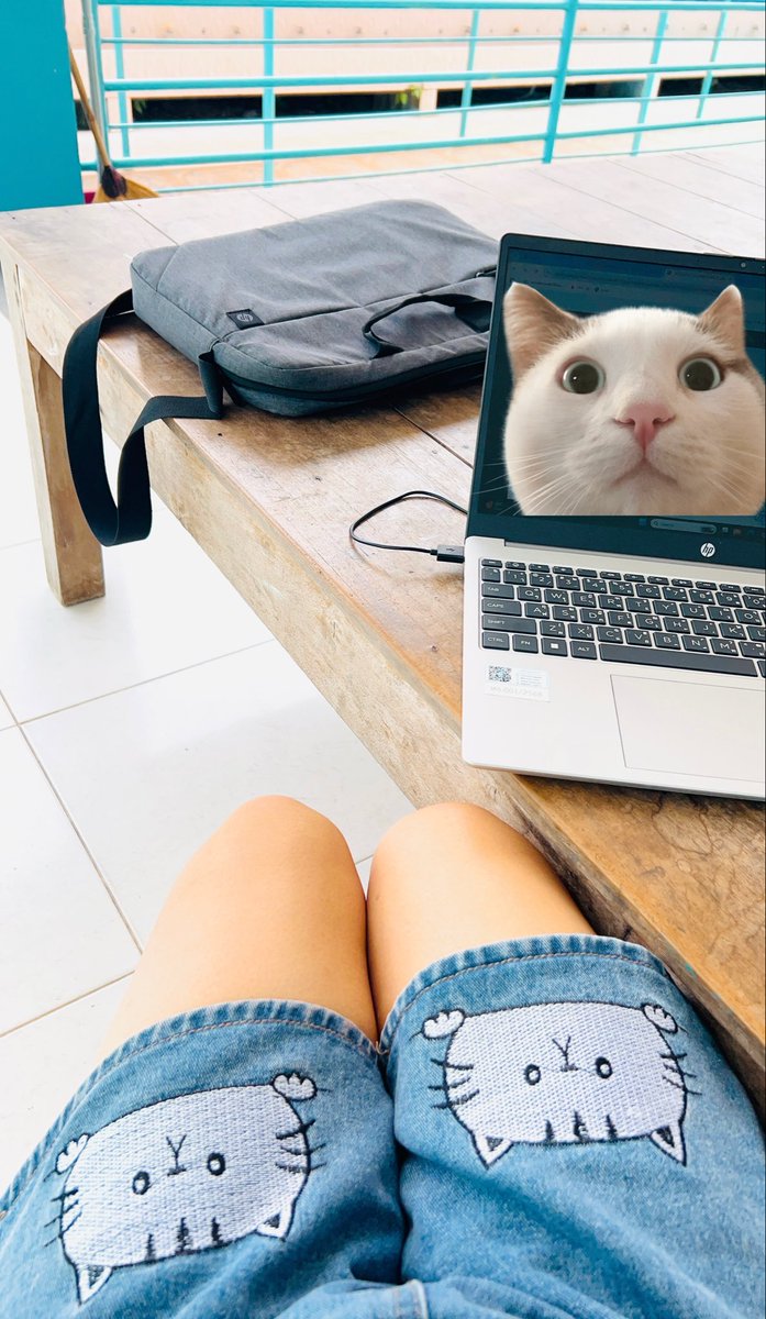 🌻Secret 🐈‍⬛ 𖾕𖾝꙼ᩚ𛲕𖾟 tweet media