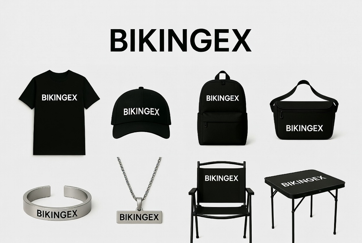 BiKing币王中文 tweet media