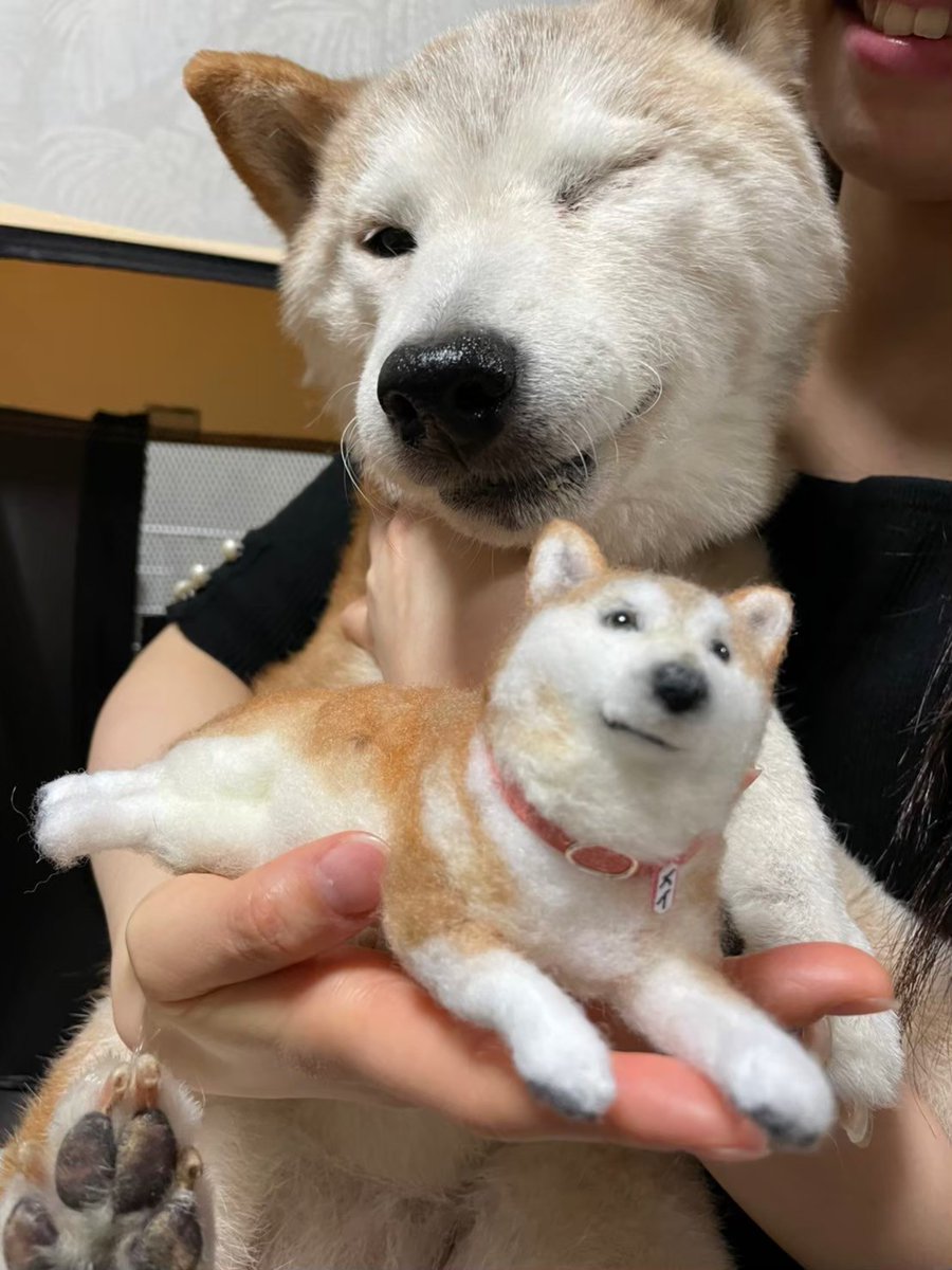 ぴよひこ tweet media