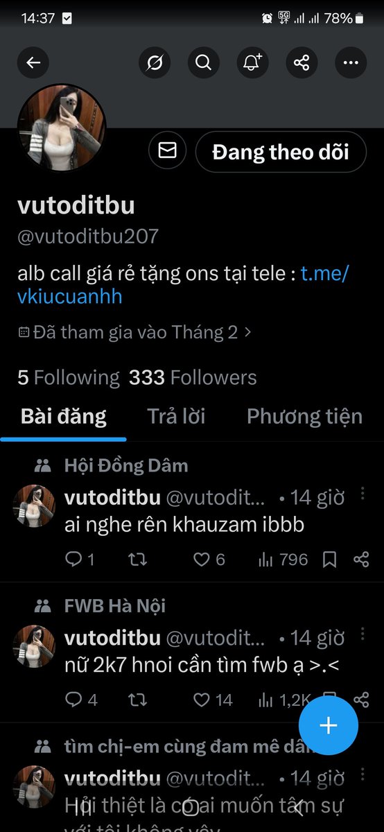 Quang Vũ tweet media