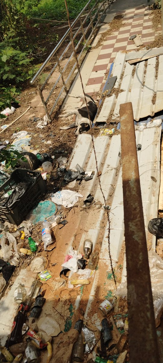 Chinmaya Behera tweet media