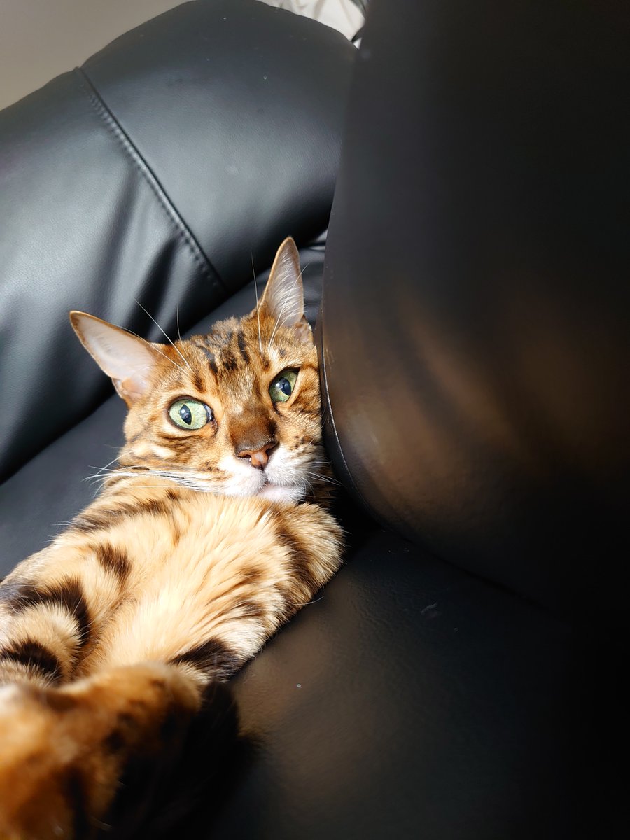 【公式】フロム蔵王/山田乳業㈱ tweet media