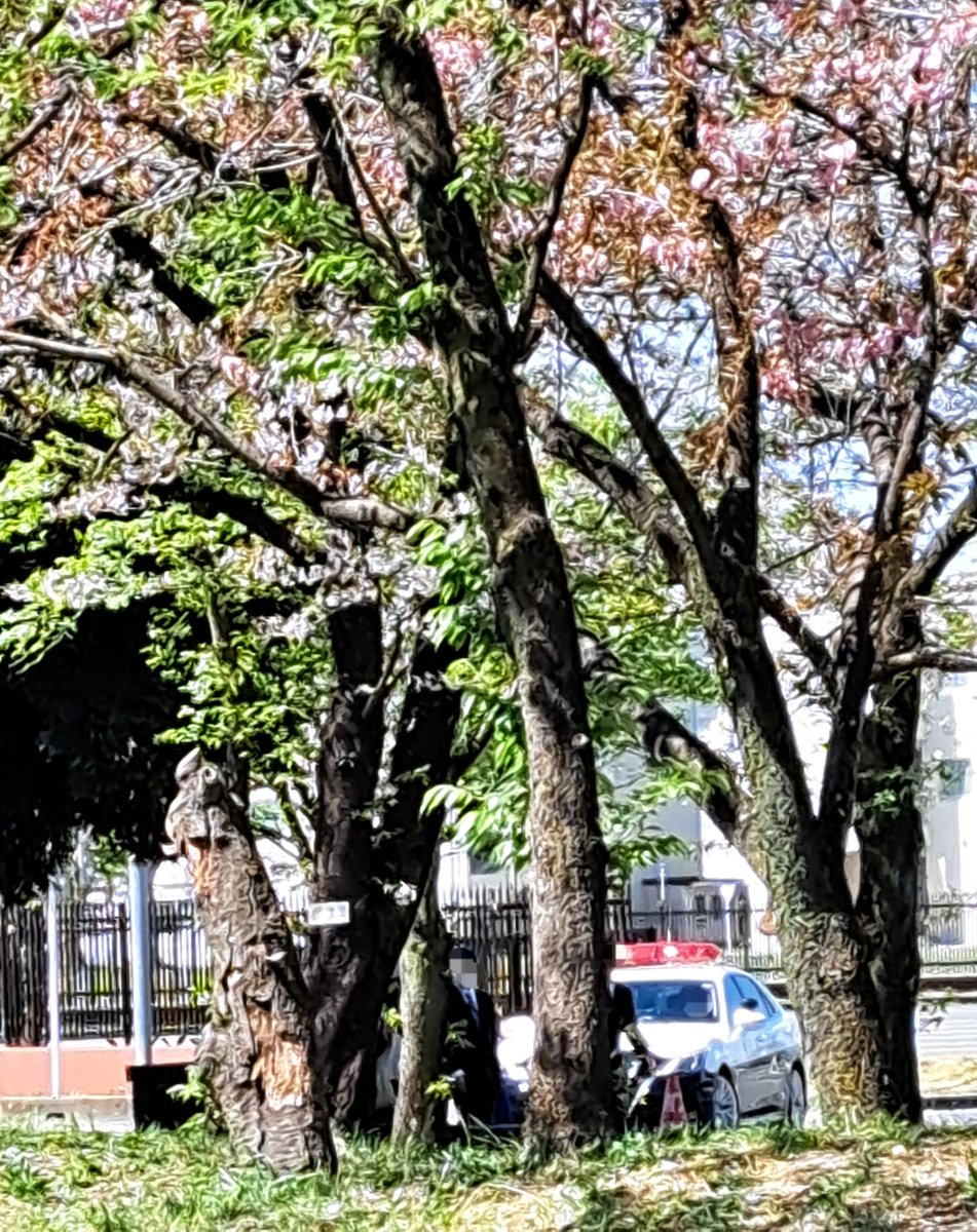 りみっと tweet media