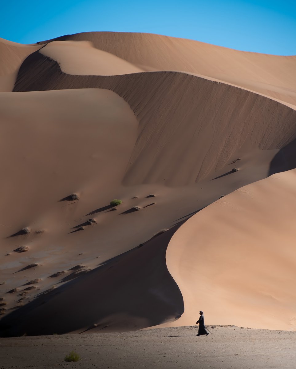 WanderLens tweet media