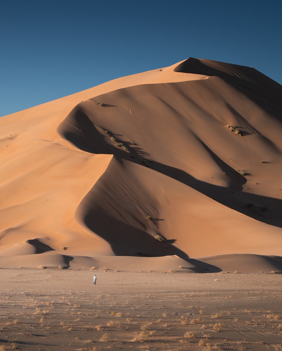 WanderLens tweet media