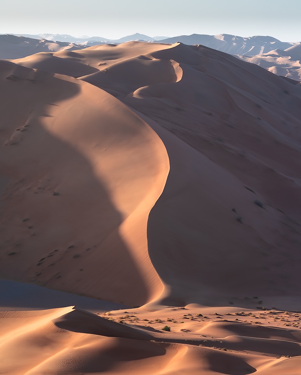 WanderLens tweet media