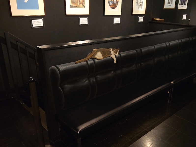 nc_noise tweet media