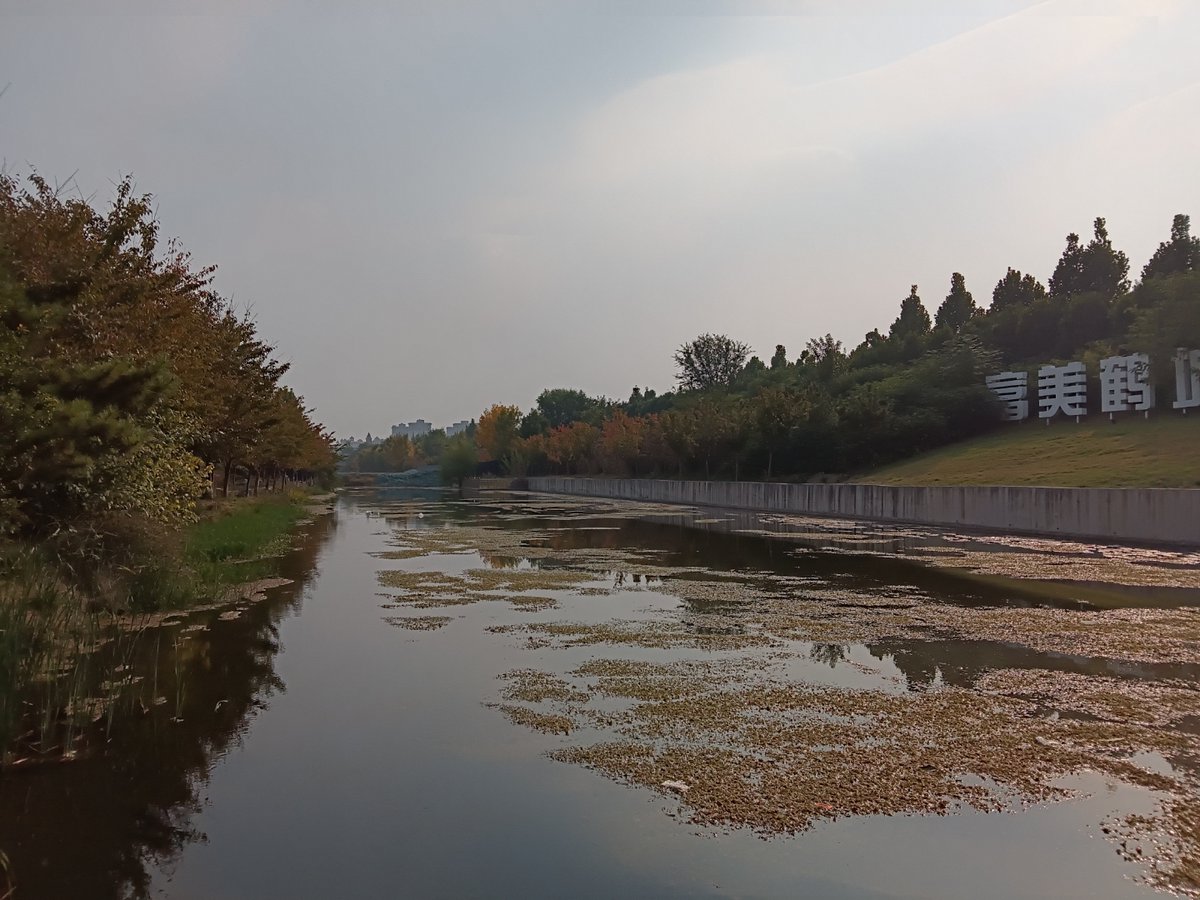 sonu choudhary tweet media