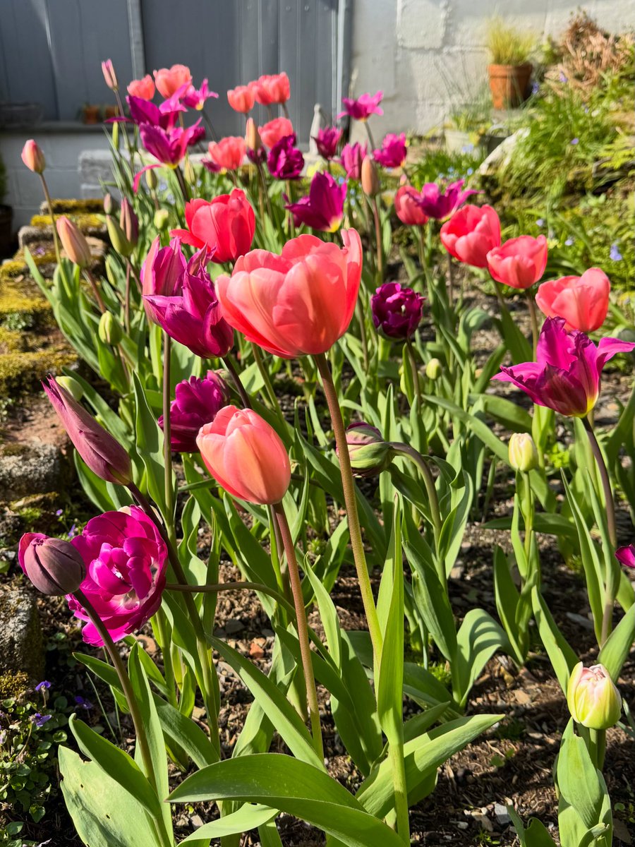 Sarah Parry tweet media