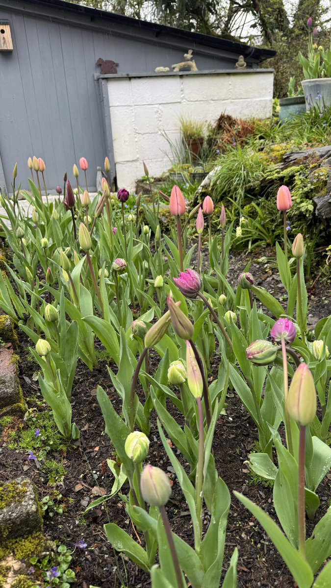 Sarah Parry tweet media