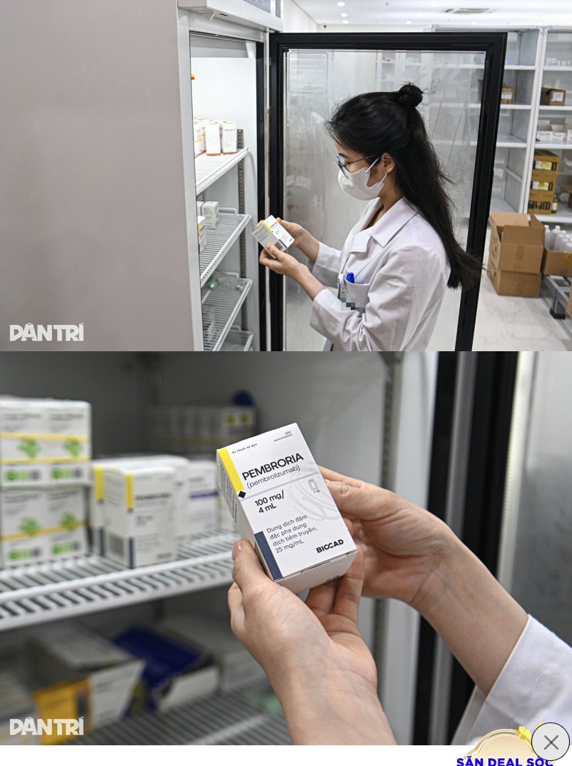 Lê Thị Thanh Tân | Tina tweet media