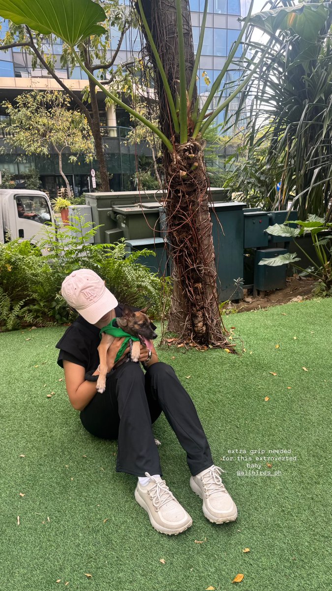 L Coronel tweet media