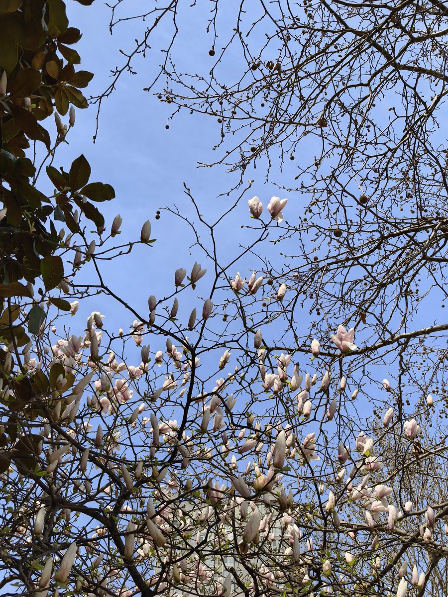 Deng_919 tweet media