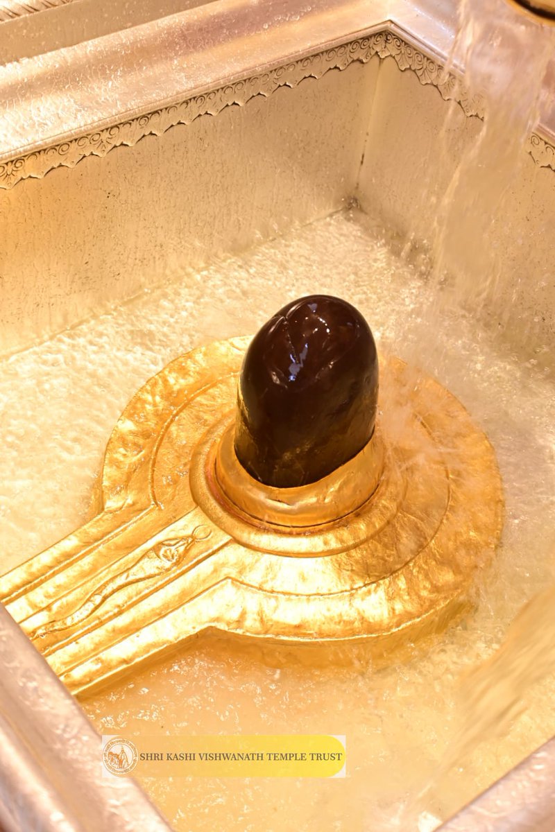 ShriVishwanath's tweet photo. श्री काशी विश्वनाथ जी की मध्यान्ह-भोग आरती I
 #kashi #darshan #kashivishwanath #VishwanathDham #blessings https://t.co/TWDCmZBRjK