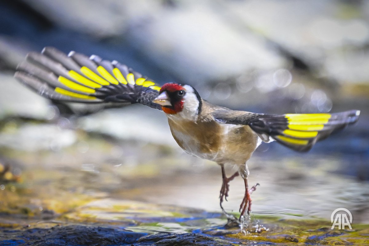 Aytaç Ünal tweet media