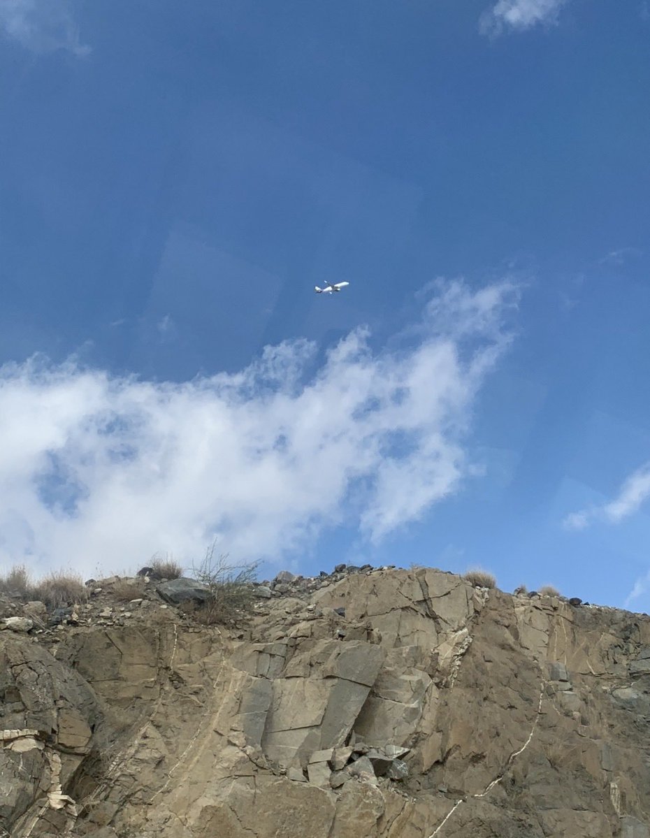 فناء tweet media