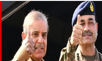 Irum Choudhary tweet media