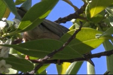 Jaume Campderròs “Txumi” tweet media