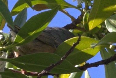 Jaume Campderròs “Txumi” tweet media