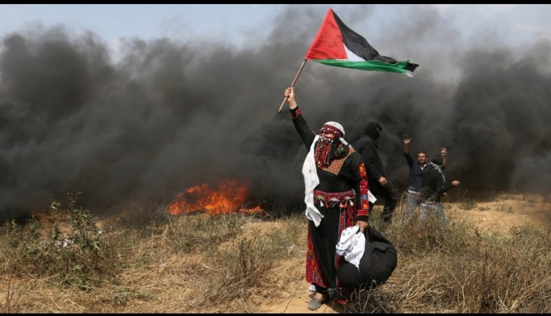 Ola Abu moamer tweet media