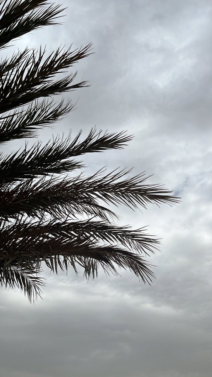 جـوجـو tweet media