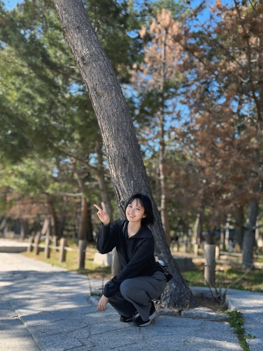 ねこさば tweet media