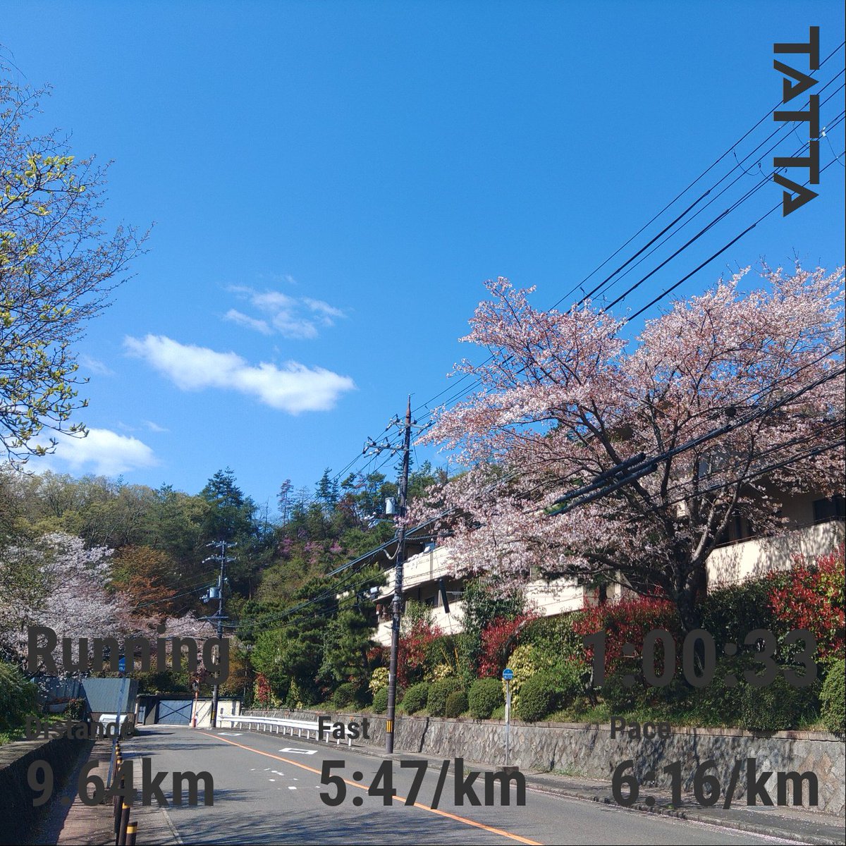 YA1974H's tweet photo. 2026/4/8 (水) 
1週間ぶりのRUN🏃

明日の京都は夜から雨予報
まただまだ桜🌸が咲いていてほしいなぁ。 https://t.co/aNxBKEZBpI