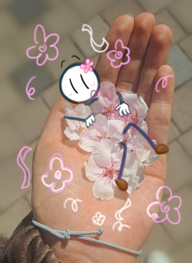 블루베리 우동 tweet media