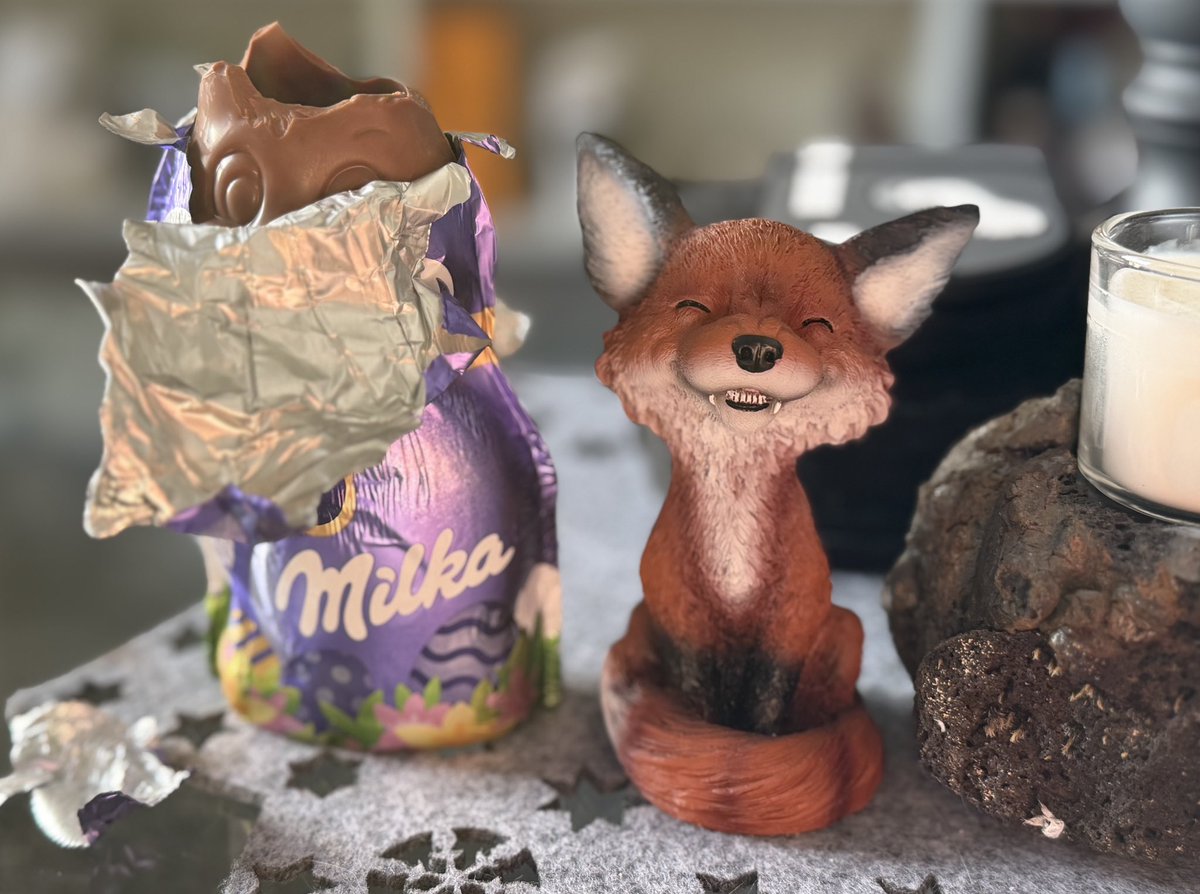 TaniDaReal's tweet image. 🦊😇 
#fox #foxes #HappyEaster
