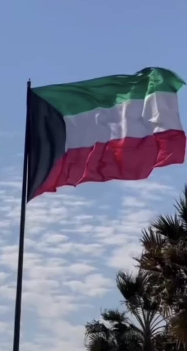 الصريح الرحاله السياسي🇰🇼✈️ tweet media