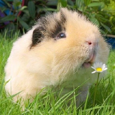 𝗬𝗢𝗨𝗡𝗚𝗝★𝗘 tweet media