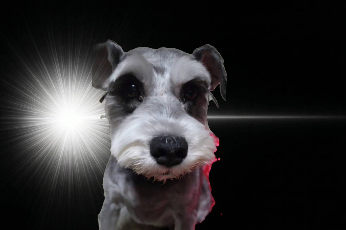 ゲーリー tweet media