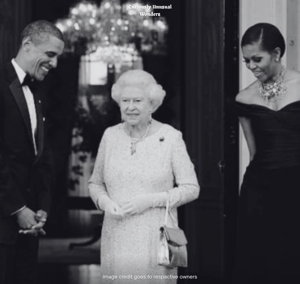 The Husky tweet media