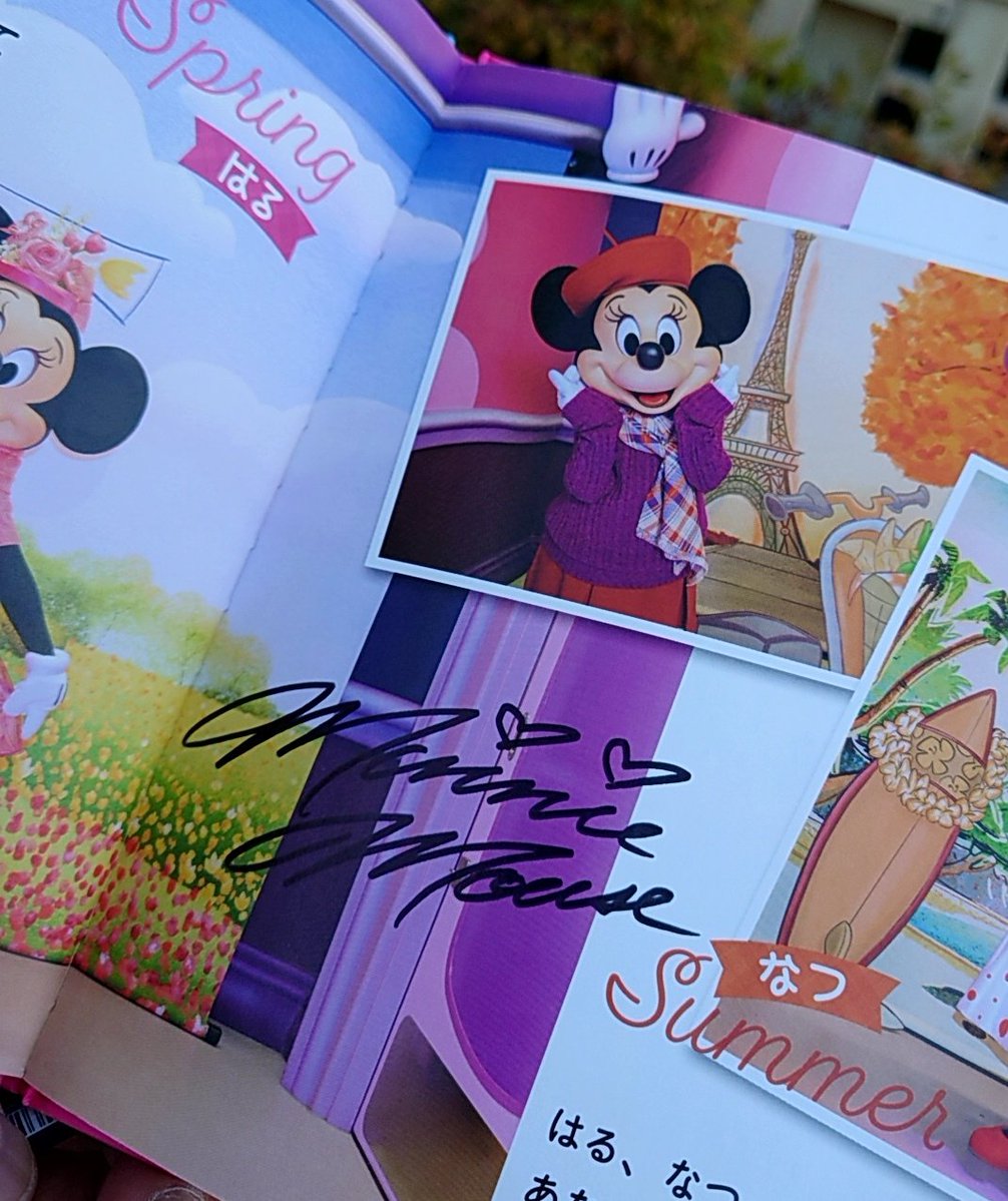 ミニヲタさん♂ tweet media