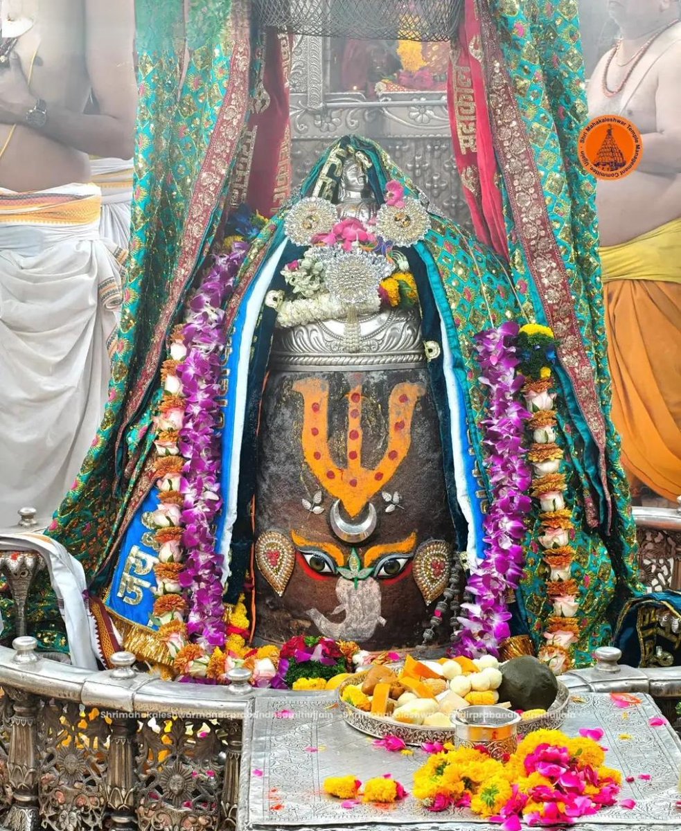 🇮🇳 मीनू भार्गव 🇮🇳 tweet media