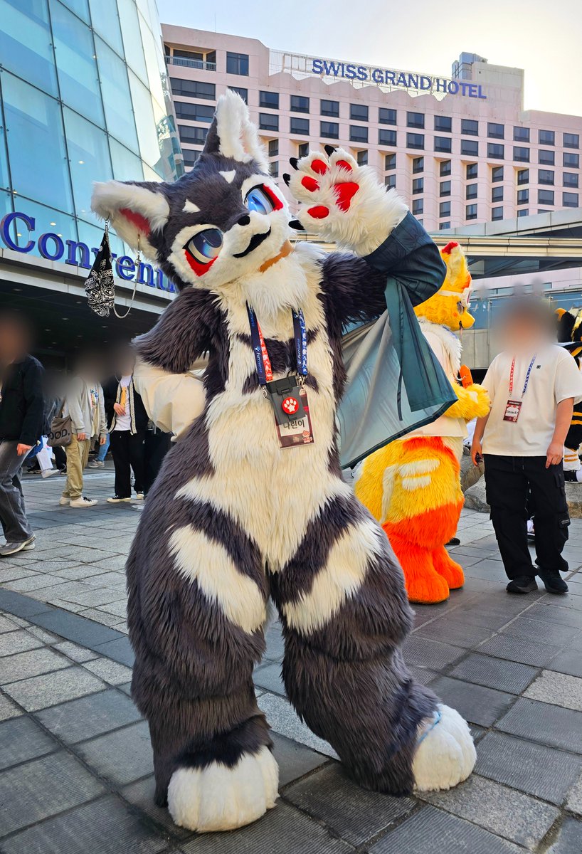 Frotais's tweet photo. @narin_furry https://t.co/08eyWaL2YL