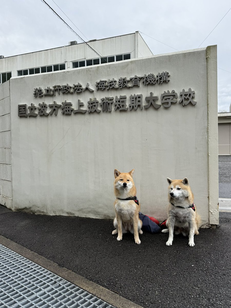 Marron20190807's tweet photo. お兄ちゃんの入学式で今治に行ってきた♪ https://t.co/y2LHhMoRHg