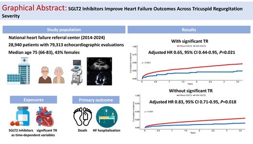 drbennisahmed's tweet image. Heart Failure and Tricuspid Regurgitation: The Role of SGLT2 Inhibitors in Improving Outcomes

Significant TR portends worse prognosis in HF. SGLT2i therapy is associated with improved outcomes and attenuated TR progression in this high-risk population, with findings limited by