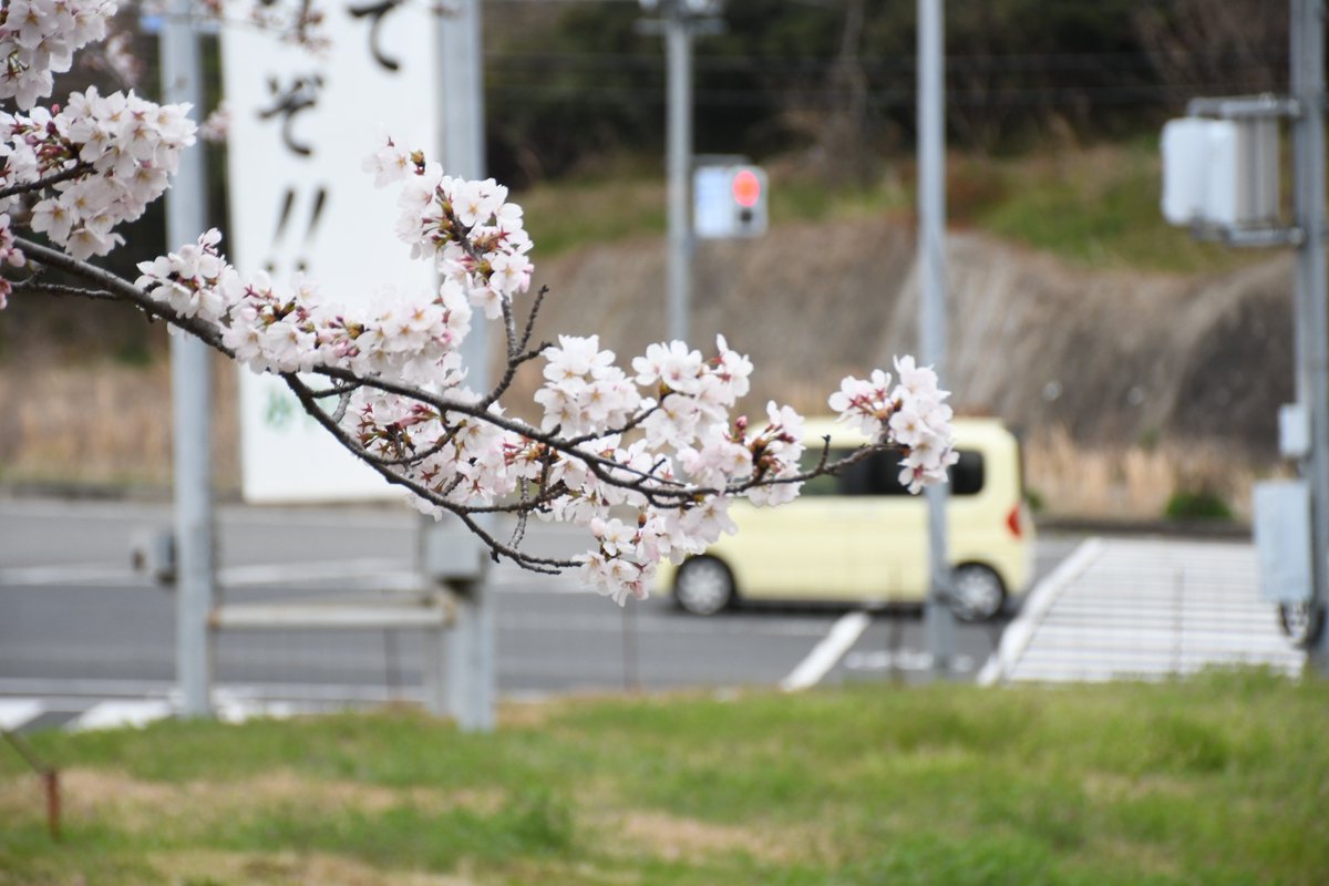 岡山県玉野市【公式】 tweet media