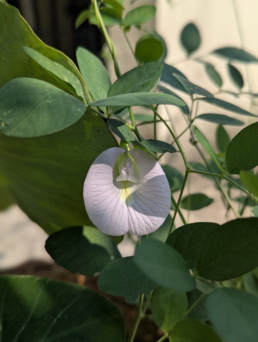 Deepu🦋 tweet media