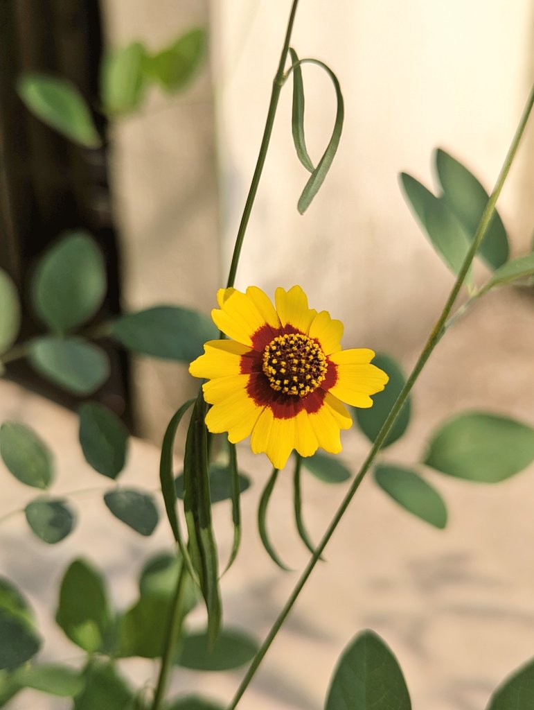 Deepu🦋 tweet media