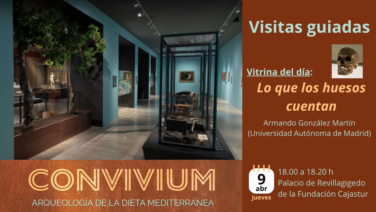 Culturagijon's tweet photo. 🏺#Convivium. Arqueología de la dieta mediterránea
🦴Vitrina del día: 'Lo que los huesos cuentan'
Visita monográfica guiada por Armando González Martín (Universidad Autónoma de Madrid)
📍Palacio de Revillagigedo
🗓️9/4
⏰18 a 18.20
ℹ️https://t.co/er17EZLxnW https://t.co/PMmQtrkebX