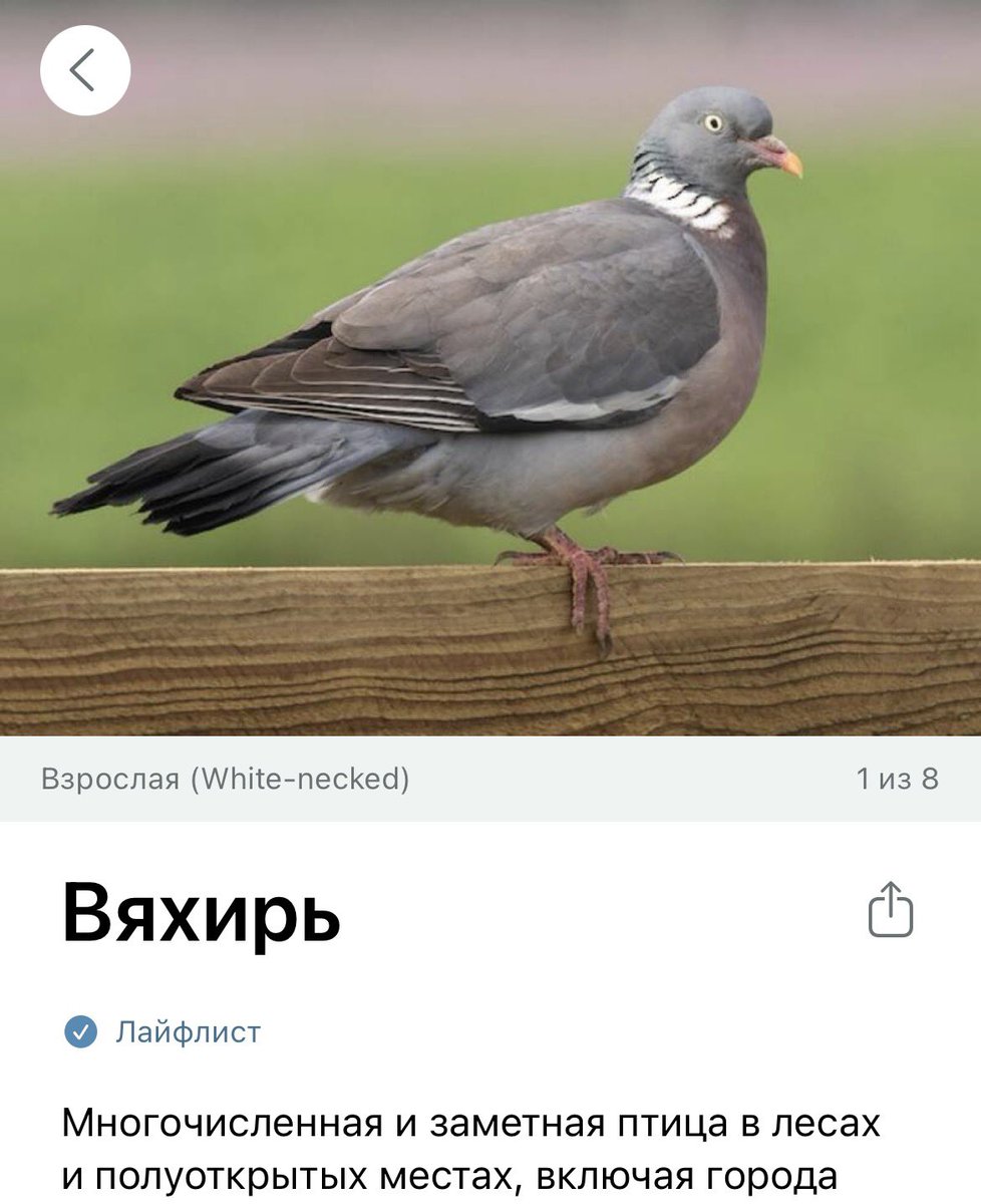 По гороскопу ди-джей tweet media