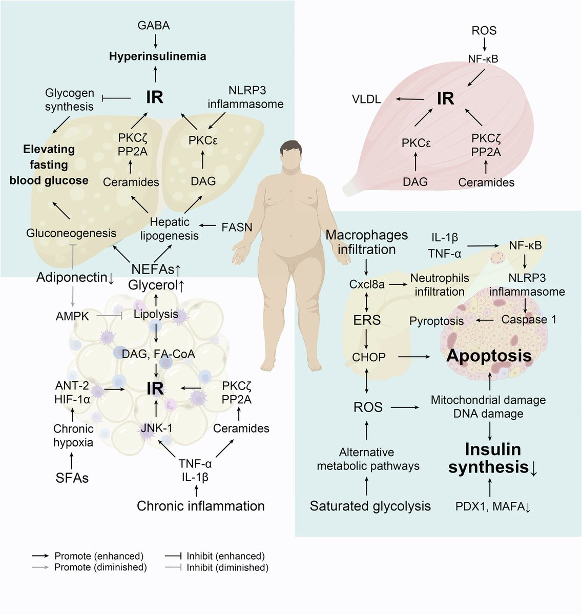 Dr sthanu subramanian tweet media