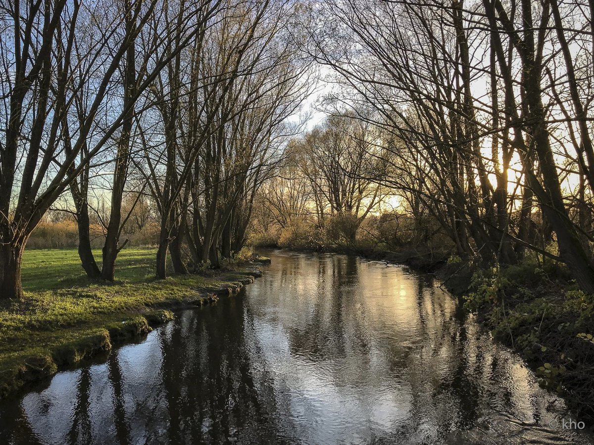 klaus.nrw tweet media